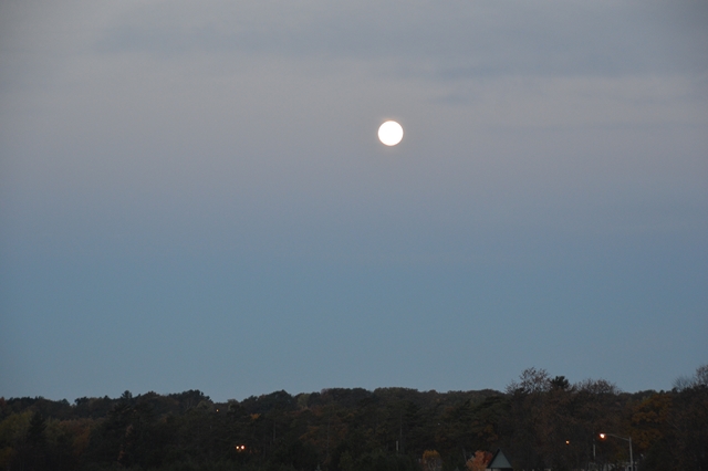 587DB6F3-96D2-4621-B01F-93C13038AC0D