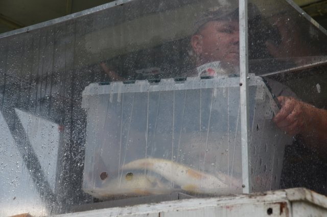 599E99C1-11A5-4C60-B391-E149B2560704