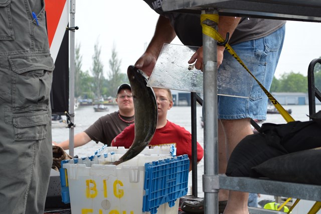 5B5BF3C8-F486-47E2-98D7-CC7ACB601550