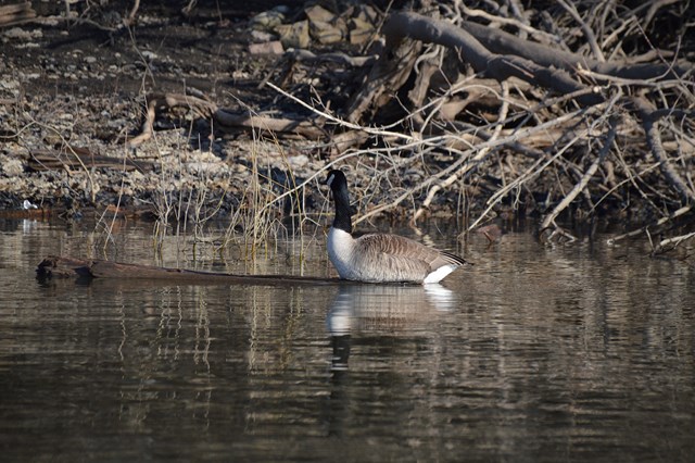 5C0DEE7A-C24C-4528-9E1B-E2F7AB03B1A6