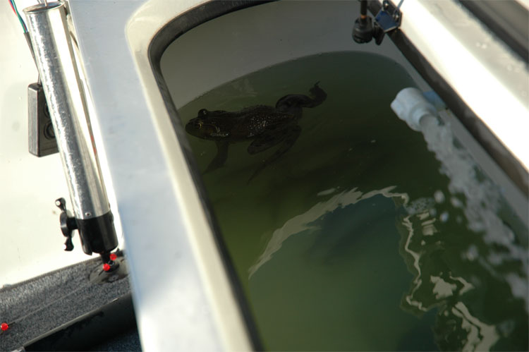 5C64562F-FFDB-43FA-8586-55DDFEE54AC9