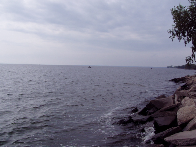 5C95A1DF-82B8-4D23-90A3-F8873B970CED