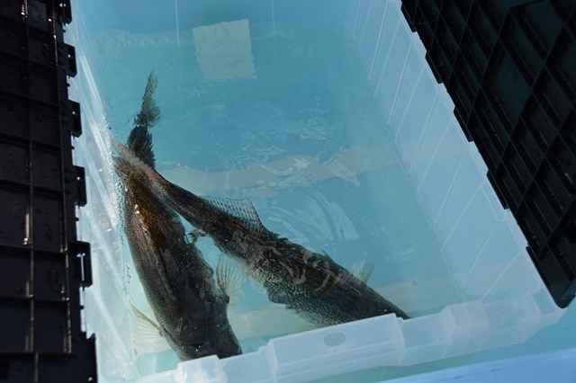 5CCC2738-BF4F-49D5-9C38-4E04D0F9AB3D