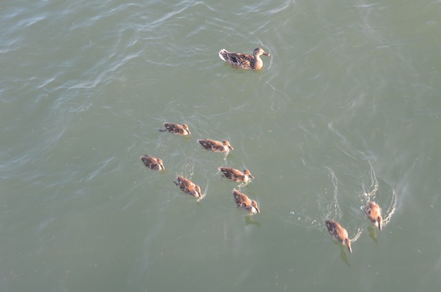 5D5CCC42-B408-4C87-9415-CFB5D6D9A115