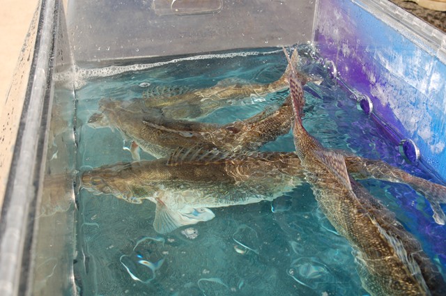 5D713B79-732D-4001-B023-18B53B0B0B64