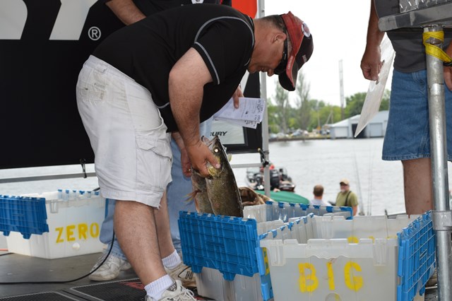 B7A2B24D-C7E6-46B8-A916-19308E5ABADF