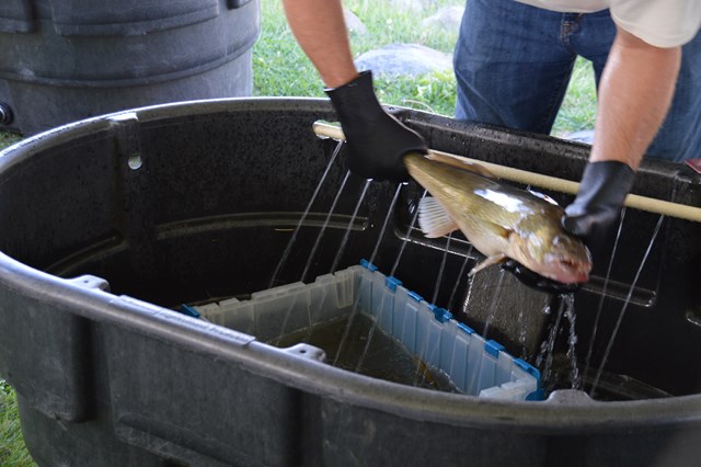 5E11B817-BFB6-40B6-8C61-48EF6AFE1ADF