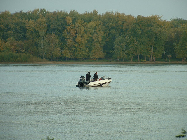 5E466778-6310-4D17-950F-622162D33CB1