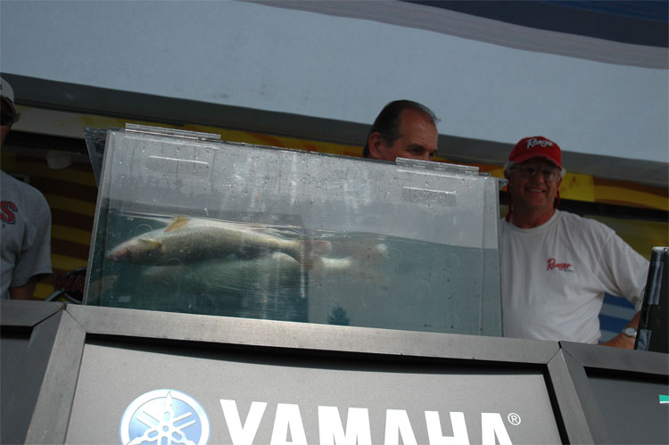 5E61AFAE-10B9-432C-9F5C-085C8FBA393C