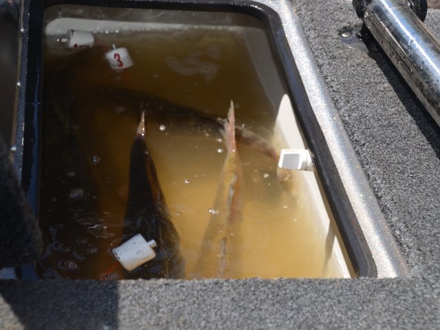 5EB5C556-1C31-41E4-86C6-BD156E8E6F9D