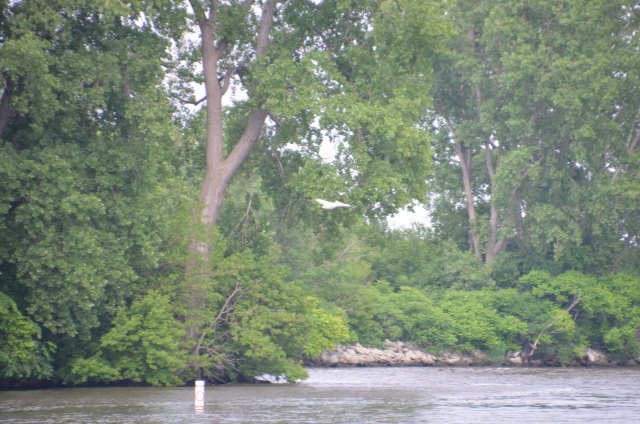 600C5D54-2450-4B6A-B81C-38076A1FCB1B