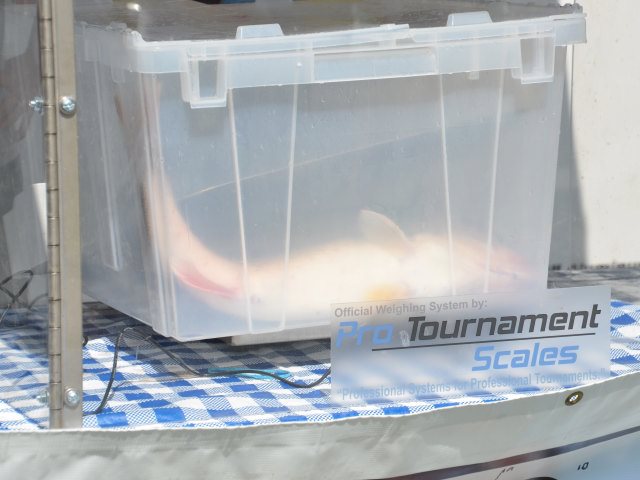 61EA9373-18E9-4E92-9370-3782A4D42BAA