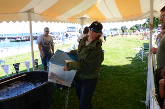 62677A6E-BA4F-43FB-A9A1-7420B5972026