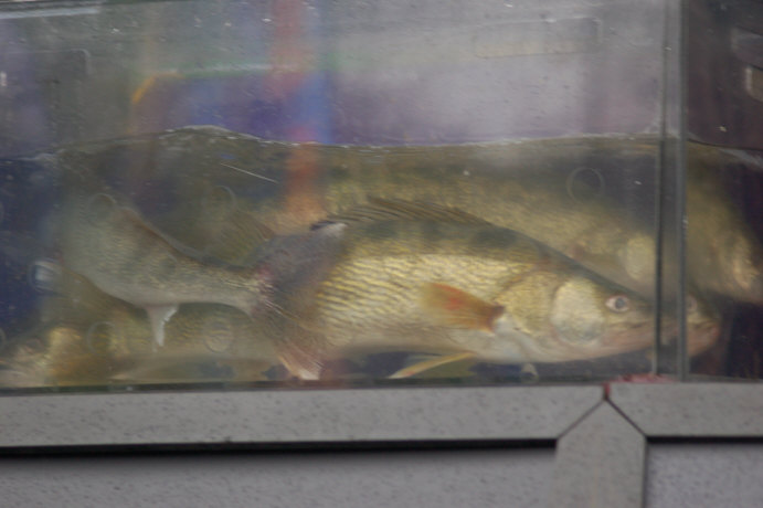 62805467-F1E8-4492-A6CC-C2280E381C8E