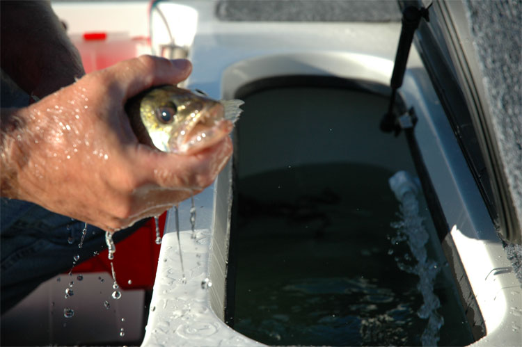 6339FD0E-AF2D-4552-8054-320DBBA98E25