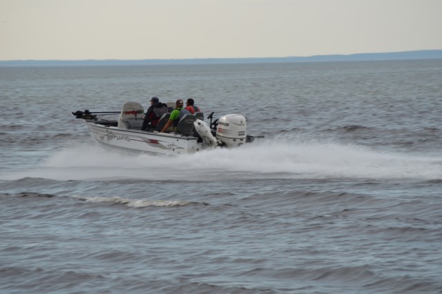 633F16AB-0019-4F44-8A94-93FB9893F62E