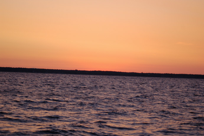 63ED35C7-73A6-4AED-99E9-4161E4A8D7D0