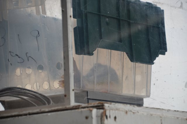 63F1CB7B-56DE-437A-B65D-C27A349E83F0