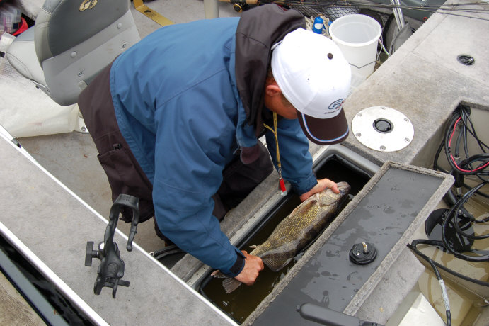 64CA7375-3073-4AA0-91C3-1DAAD618A274