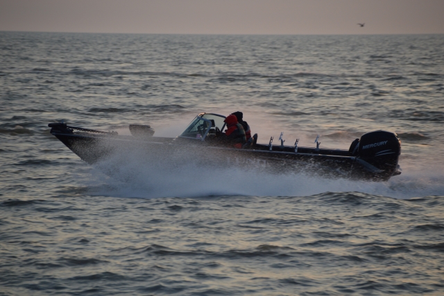 65DAC375-1A1F-4BA5-89B2-9EA3E7E4008E