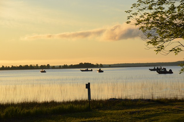 684C59A9-D537-4F71-BDF9-B7FF92BEE372