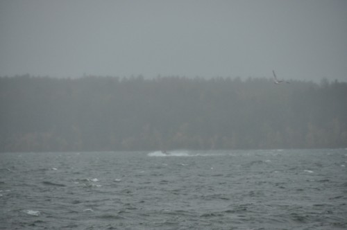 68ECA4FC-D2EC-40C2-9A6F-3AE4D48B24C1