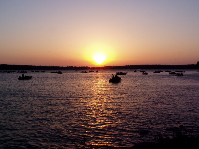 6929FDBB-209F-4985-935C-047E93782A97