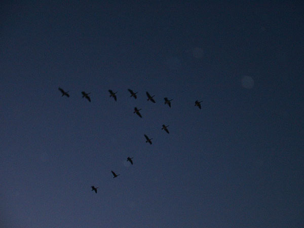 69E33DD5-719C-4C78-A10D-78041631F09E