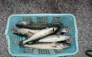 6A5CEE9B-B373-4C60-A8C3-F95AAF255AFF