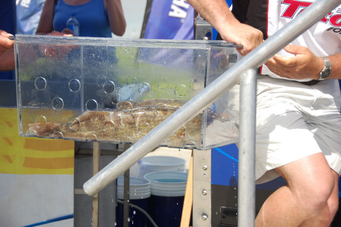 6A71428C-990E-4EE6-A4E1-1316BBC88683