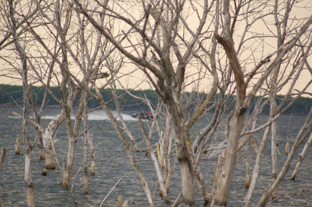 6B0984B5-5646-4C53-A2F4-3BA2CD729FC5