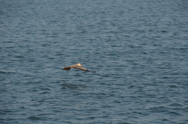 6D74547A-8996-4F4F-85CD-658B97FC1F62