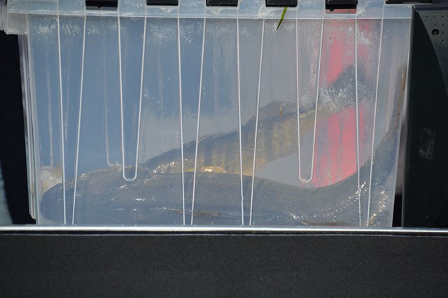 6D95A1CE-1382-413B-B87C-D3479E01FA50