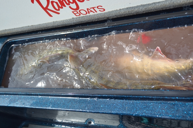 6DC12CB6-641E-4C3E-B96B-44875A53482A