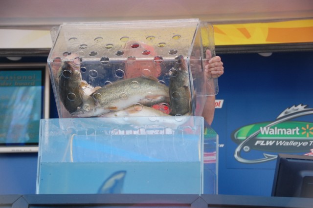 6ED350E3-6349-4E3B-A18A-8BC2D0EACF1C