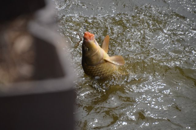 70C24E38-D3F7-47C3-A47E-D4594C450DA2