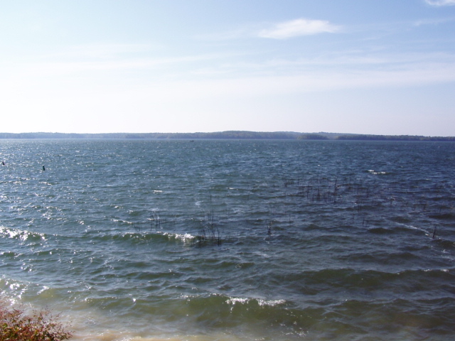 70D47EDE-5919-477E-BA78-B4F496EF04AA