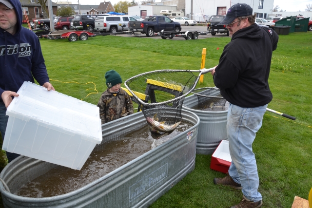 717396C0-0A07-4C60-8C98-F9A864927244