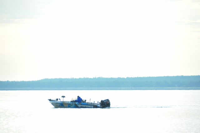 71EFC726-A4C4-4012-A781-EF1A721F29A1