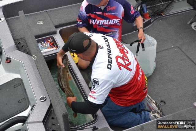 72156E4D-5177-4FCE-B58E-18CA11722E48