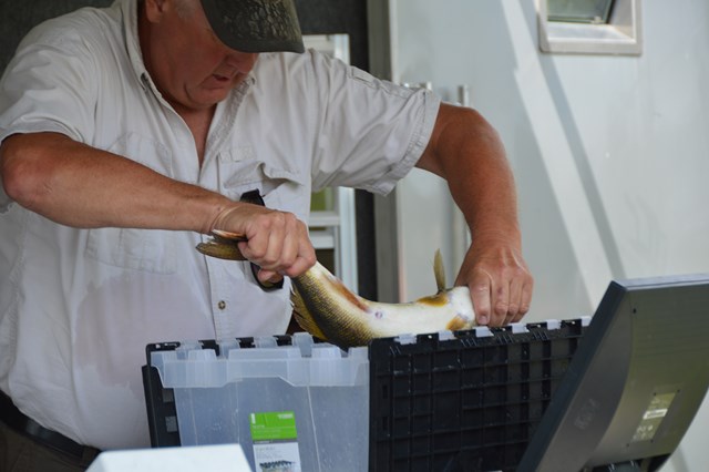 725AB93D-9D4E-497C-A798-36101995D4F2