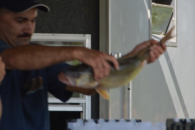 72F50C92-DAFF-446F-8F43-5D67796B6B44