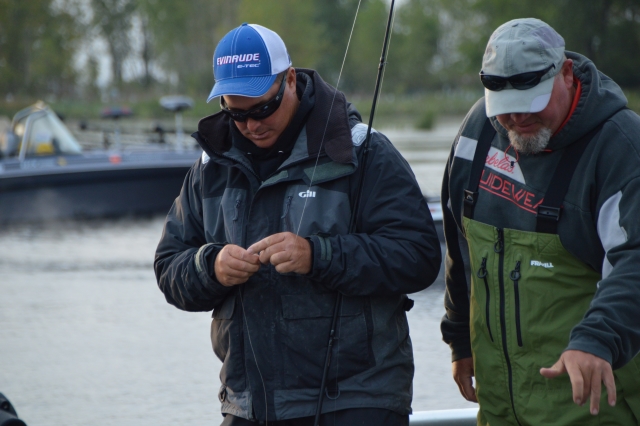 73335EF3-8983-4018-AED6-1B584B9024CA