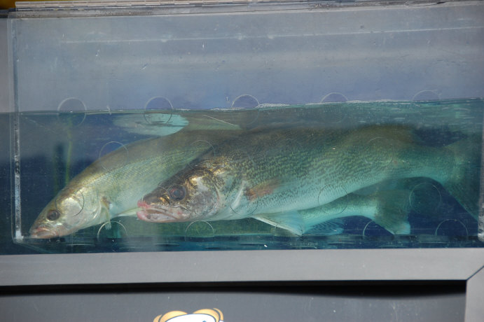 733E420D-DFD3-47B9-91BE-9B6A8DDEF05E