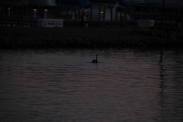 737B4F32-D749-4799-86B5-8BAED395BF9F