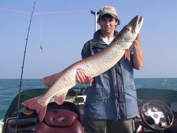 74095D5C-0573-4DA9-8DF8-CB601E6C49DF