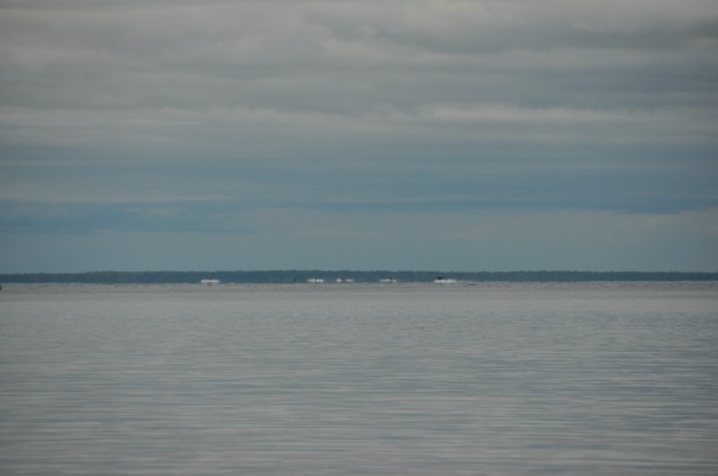 7441696C-0613-4875-A78E-C7BA51E9A39A