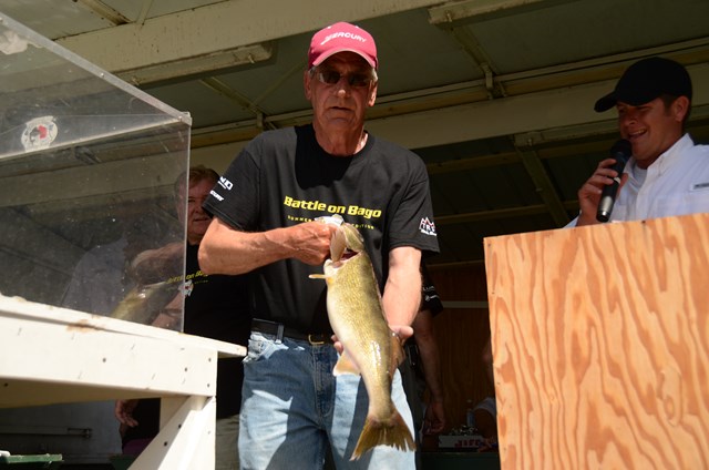 74763E52-6FF4-4741-90ED-8608AF69EE37