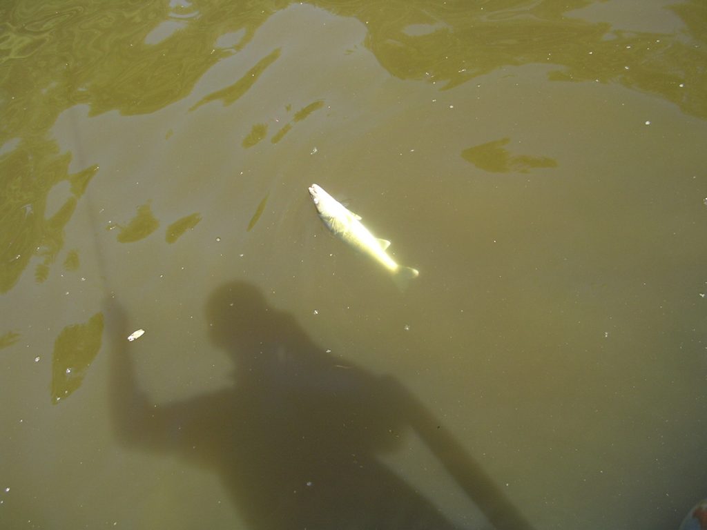 74F1F1DE-60CC-4A70-8C4A-7ECB05BF76DF