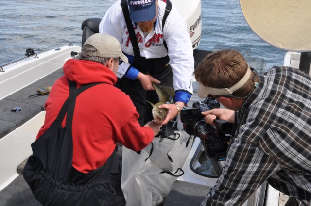 76847A81-E266-4C49-A809-4FE60748E3A5